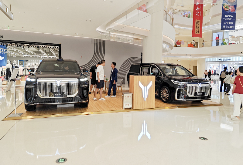 岚图汽车  X  三亚大悦城  